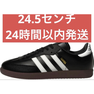 アディダス(adidas)の24.5 adidas アディダス　サンバ レザー SAMBA 019000(スニーカー)