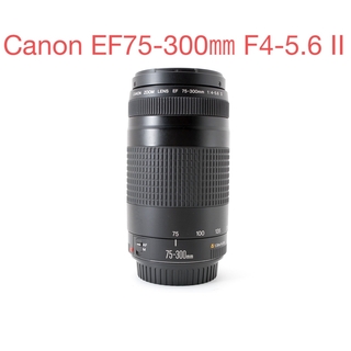 EF 75-300mm F4-5.6 IIの通販 300点以上 | フリマアプリ ラクマ