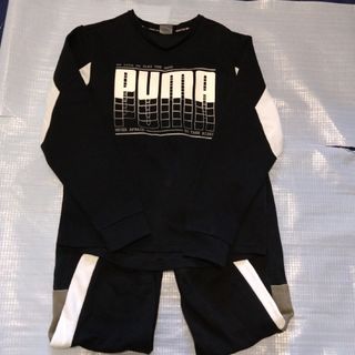 プーマ(PUMA)のPUMAスエット上下150cm(その他)