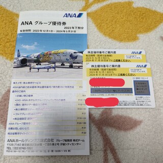 ANA 株主優待 2枚 2024年11月30日まで(航空券)