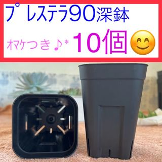 D①④  【プレステラ90 深鉢】ﾌﾞﾗｯｸ 10個セット★(プランター)