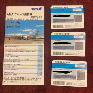 エーエヌエー(ゼンニッポンクウユ)(ANA(全日本空輸))のANA 株主優待券(その他)