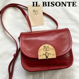 イルビゾンテ(IL BISONTE) ショルダーバッグ(レディース)の通販 3,000 ...