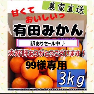 99様専用  3kg(フルーツ)