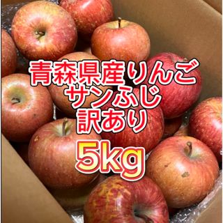 【産地直送】青森県産りんご  家庭用  5kg(フルーツ)