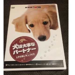 NHK趣味悠々　犬は大事なパートナー　上手な飼い方、しつけ方 DVD(趣味/実用)