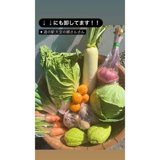 愛媛県久万高原産【無農薬野菜】採れたて野菜詰め合わせ【農家直送】(野菜)