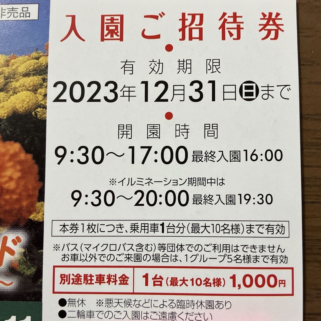 東京ドイツ村　入園ご招待券 チケットの施設利用券(その他)の商品写真