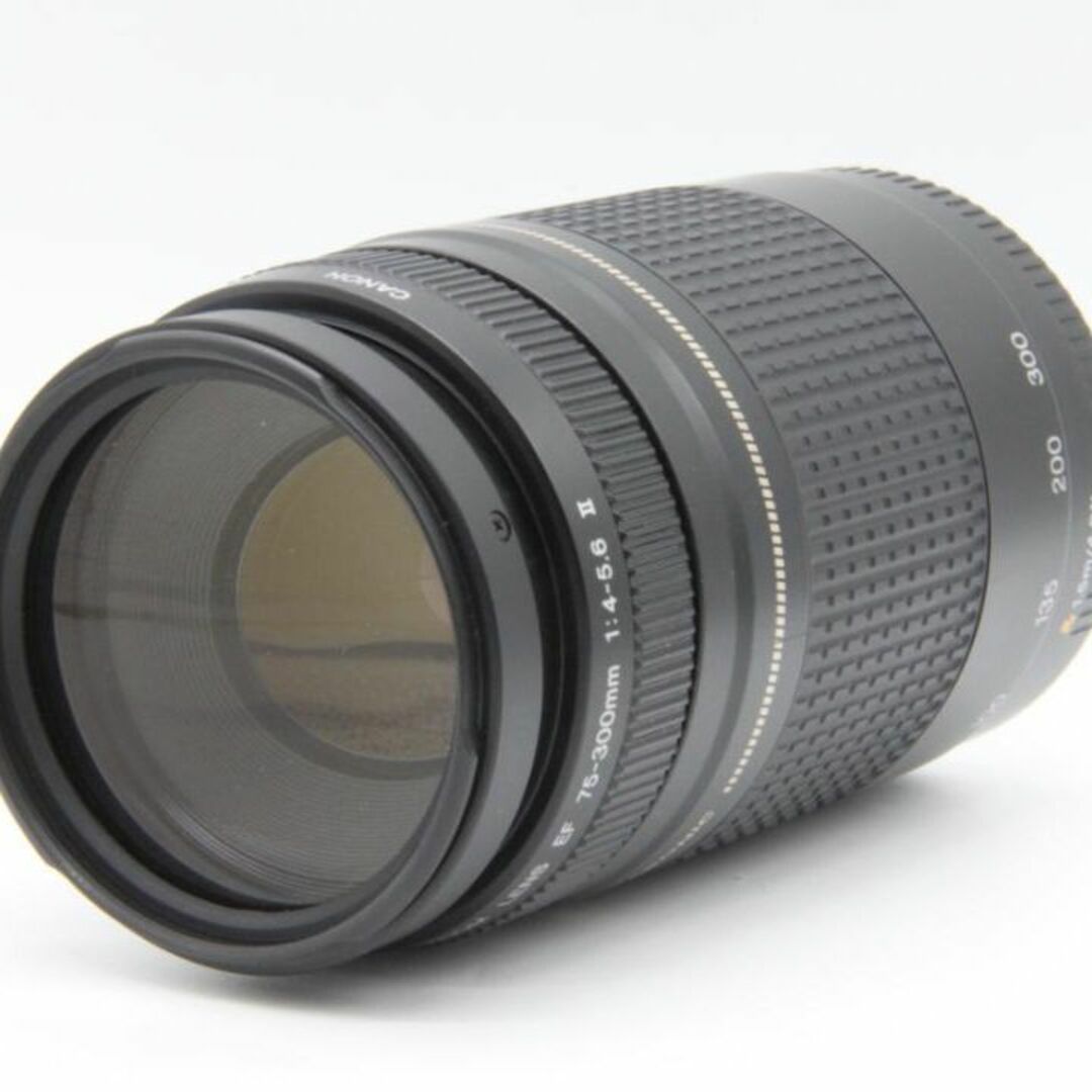 Canon - 美品❤️ 300ｍｍ超望遠❤️ CANON EF 75-300mm II USMの通販