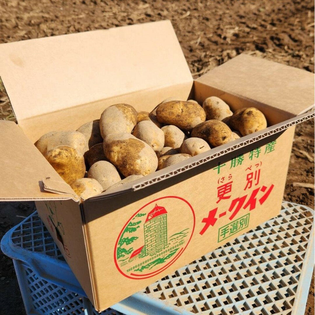 たまちゃんさん専用 北海道産 じゃがいも 20kg メークインの通販 by