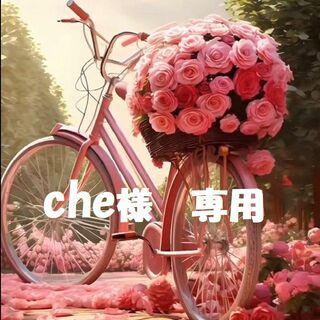 【che様　専用】(カットソー(長袖/七分))