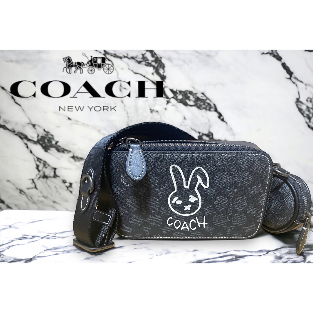 COACH　コーチ　ショルダーバッグ　ルーナーニューイヤー