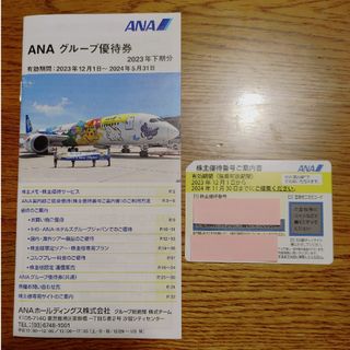 エーエヌエー(ゼンニッポンクウユ)(ANA(全日本空輸))のANA 株主優待券 グループ優待券(その他)