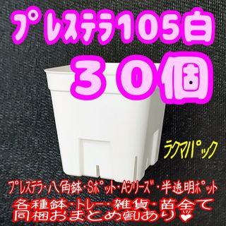 【スリット鉢】プレステラ105白30個 多肉植物 プラ鉢-ラクマパック-(プランター)