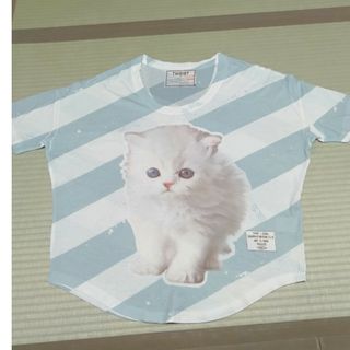 ネコプリント　ボーダー丸襟Tシャツ(Tシャツ/カットソー(半袖/袖なし))