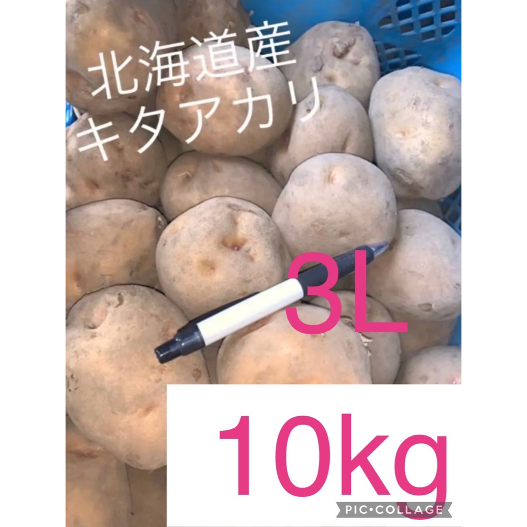 【特大】北海道産じゃがいもキタアカリ10kg 食品/飲料/酒の食品(野菜)の商品写真