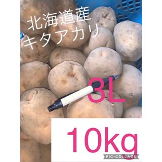 【特大】北海道産じゃがいもキタアカリ10kg(野菜)