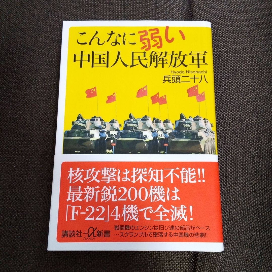 こんなに弱い中国人民解放軍 エンタメ/ホビーの本(人文/社会)の商品写真