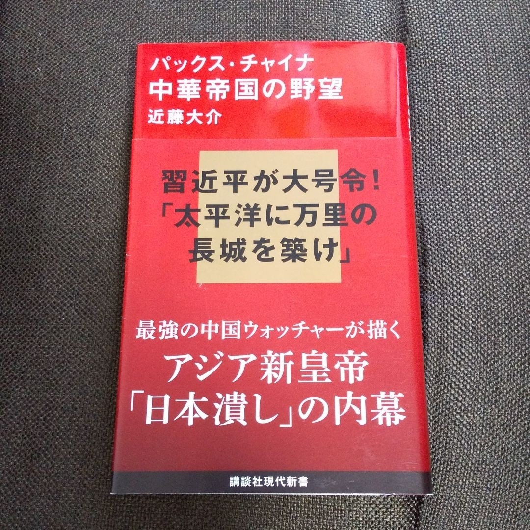 パックス・チャイナ中華帝国の野望 エンタメ/ホビーの本(人文/社会)の商品写真