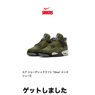 NIKE ナイキ 2004年 DUNK LOW CL NEUTRAL GRAY ダンク ローカット スニーカー ニュートラルグレー 304714-047