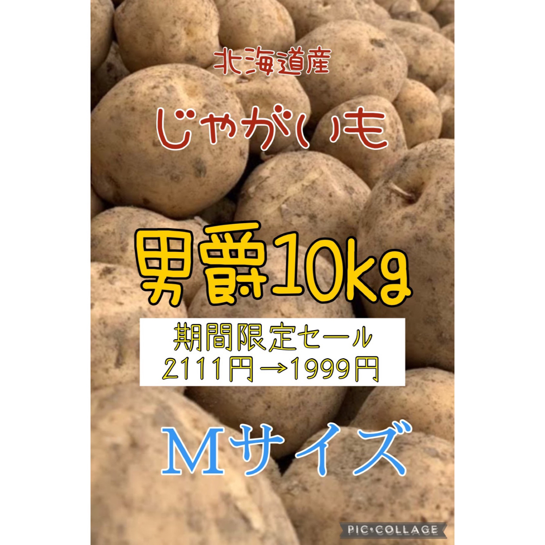 北海道産じゃがいも男爵10kg 食品/飲料/酒の食品(野菜)の商品写真