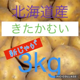 北海道産訳ありじゃがいも　きたかむい3kg(野菜)