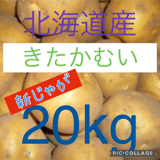 北海道産訳ありじゃがいも　きたかむい20kg(野菜)