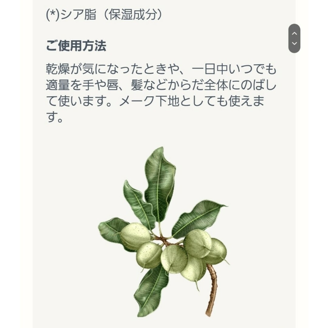 L'OCCITANE(ロクシタン)のロクシタン シアバター　10g コスメ/美容のスキンケア/基礎化粧品(フェイスクリーム)の商品写真