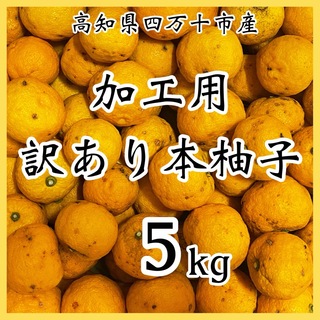 訳あり本柚子5kg RY01(フルーツ)