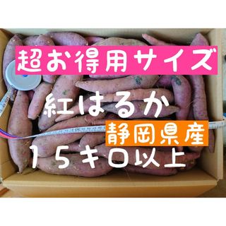 さつまいも【紅はるか１５kg以上】【サツマイモ】【さつま芋】(野菜)