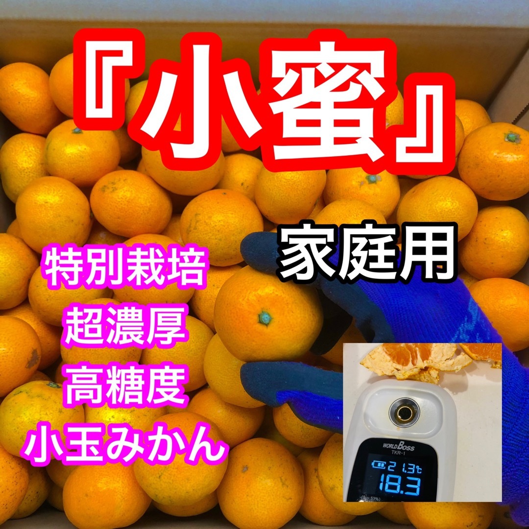 sky blue様専用 食品/飲料/酒の食品(フルーツ)の商品写真