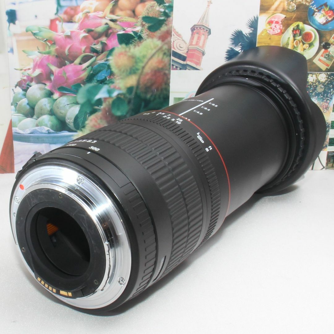 ❤️標準から超望遠まで１本で対応❤️シグマ 28-300mm ニコン用❤️-