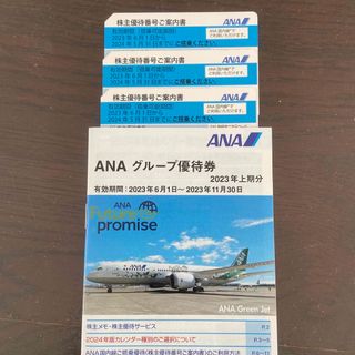 エーエヌエー(ゼンニッポンクウユ)(ANA(全日本空輸))のANA 株主優待券&グループ優待券(その他)