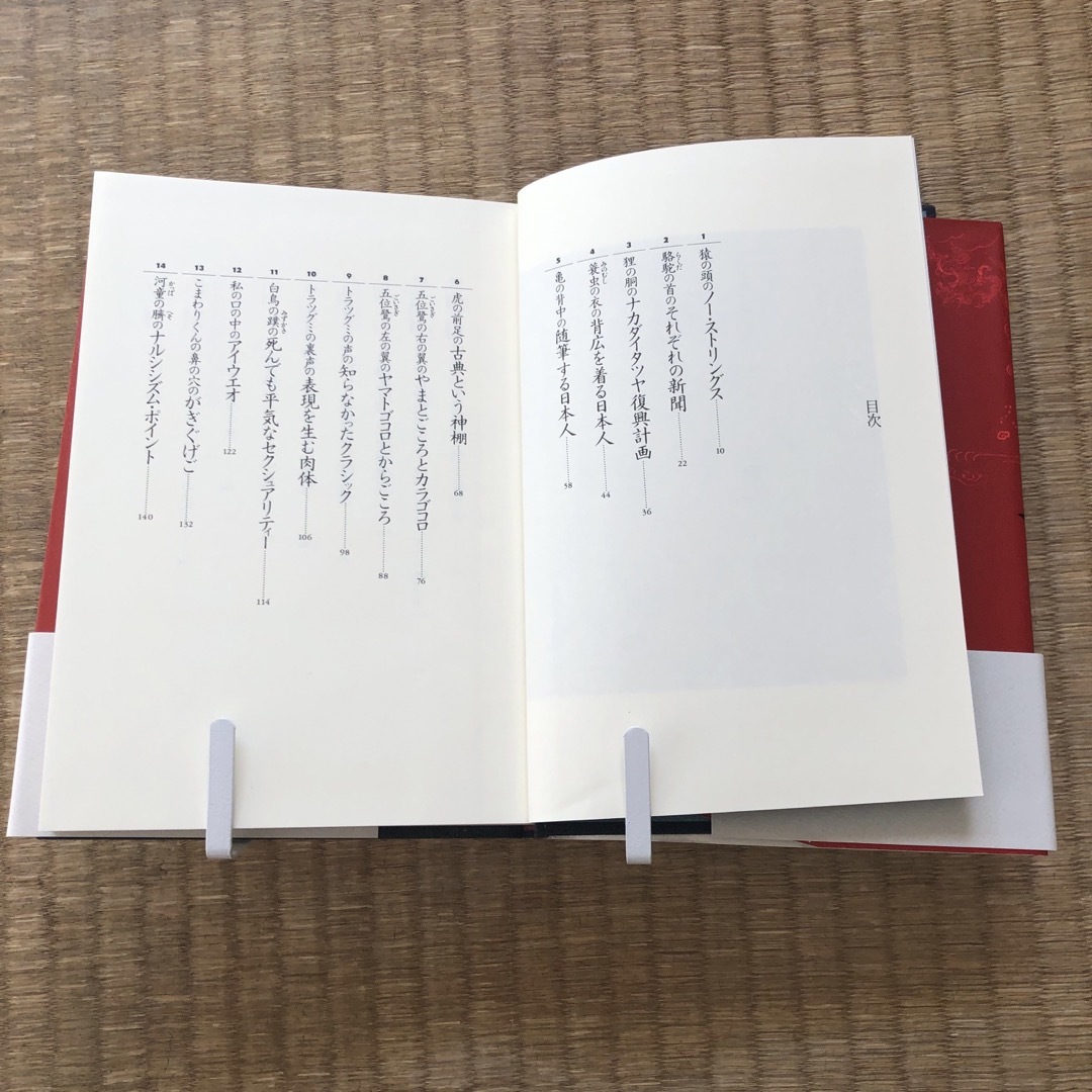 ぬえの名前（岩波書店）／橋本治 エンタメ/ホビーの本(文学/小説)の商品写真