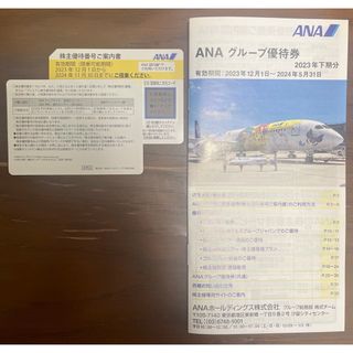 エーエヌエー(ゼンニッポンクウユ)(ANA(全日本空輸))のANA 株主優待券(その他)