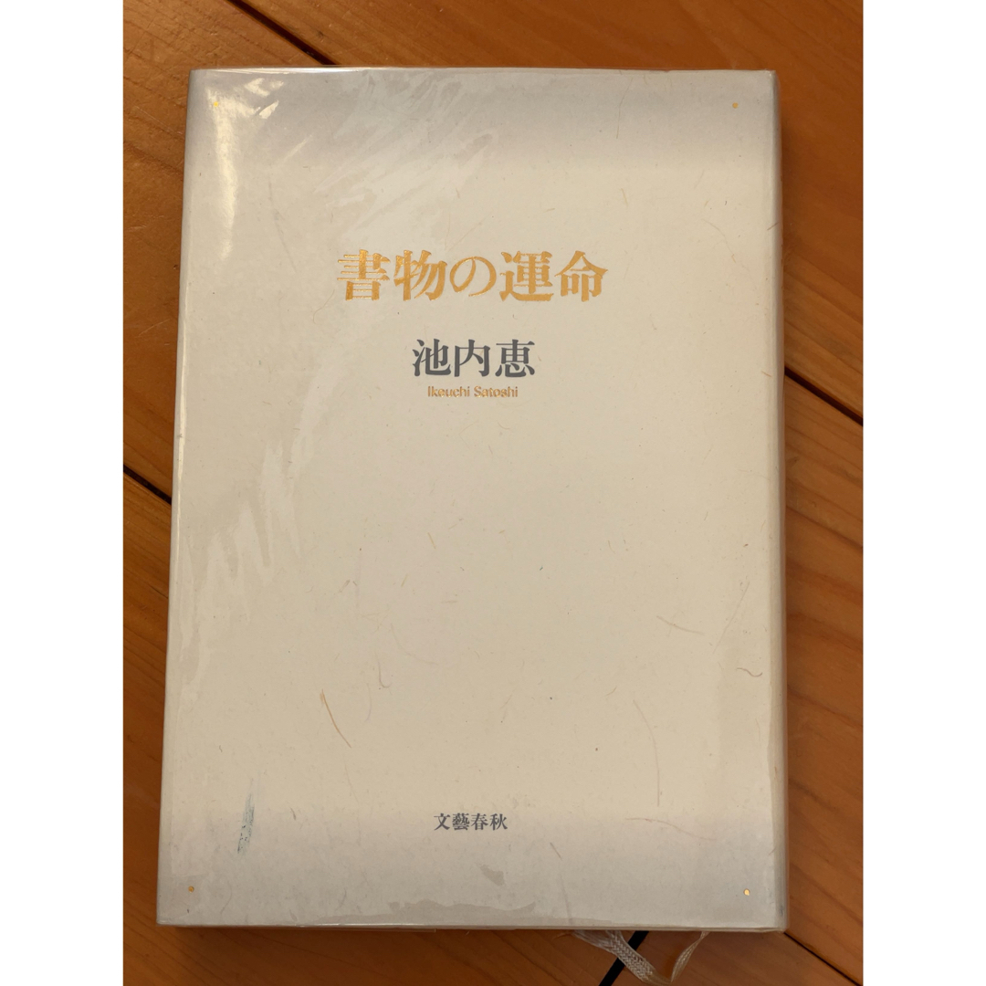 池内恵書物の運命