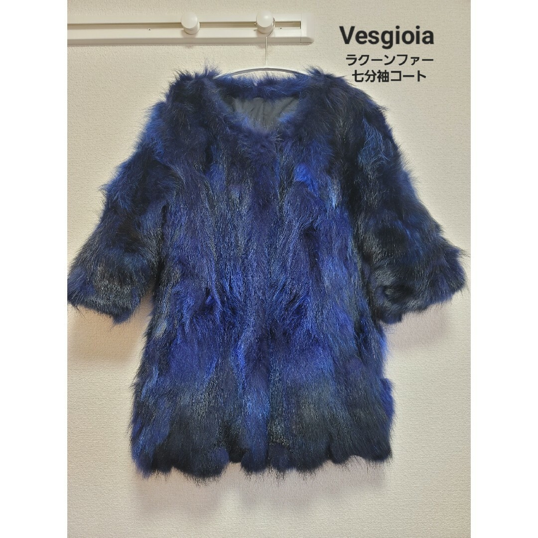 【Vesgioia】 ベスジョーヤ ラクーンファー七分袖コート ブルー×ブラックZARA