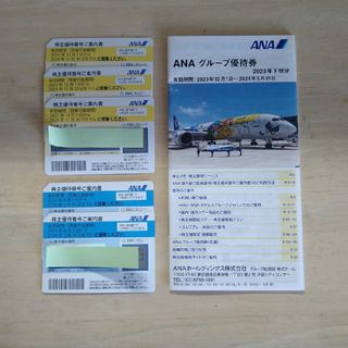 ANA 株主優待券＋グループ優待券(その他)