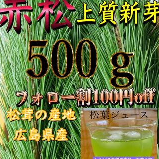 はる様専用となります！上質新芽、赤松松葉、松の葉、松葉茶、、500㌘(野菜)