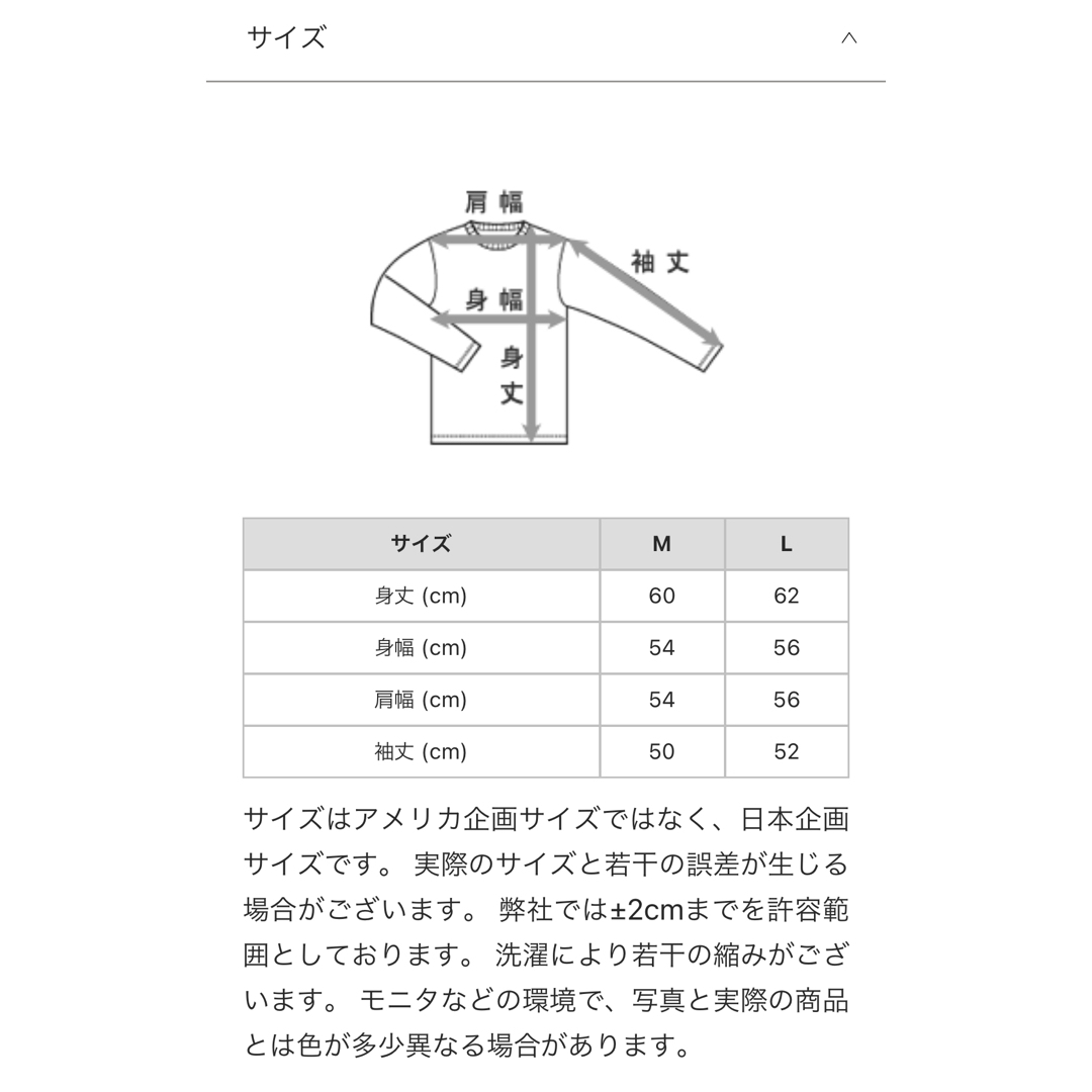 Champion(チャンピオン)のChampion チャンピョン フーデッドスウェットシャツ 23FW レディースのトップス(パーカー)の商品写真