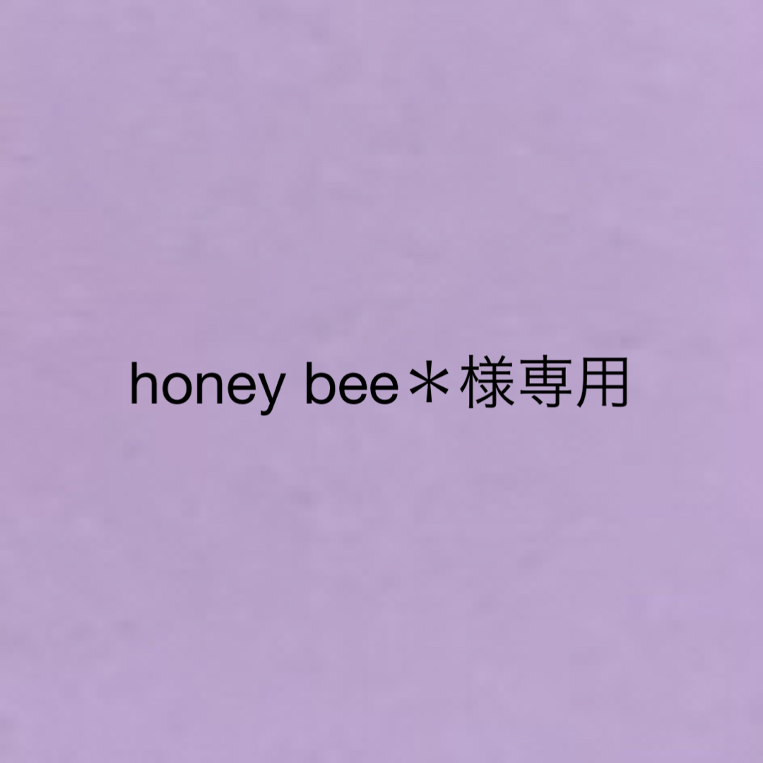 クリアランス卸売り honey bee＊様専用ページ | www.butiuae.com