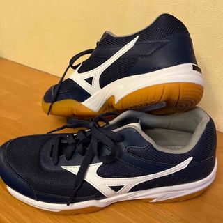 ミズノ(MIZUNO)のミズノ　体育館シューズ　27.5 室内シューズ　お値下げしました(その他)