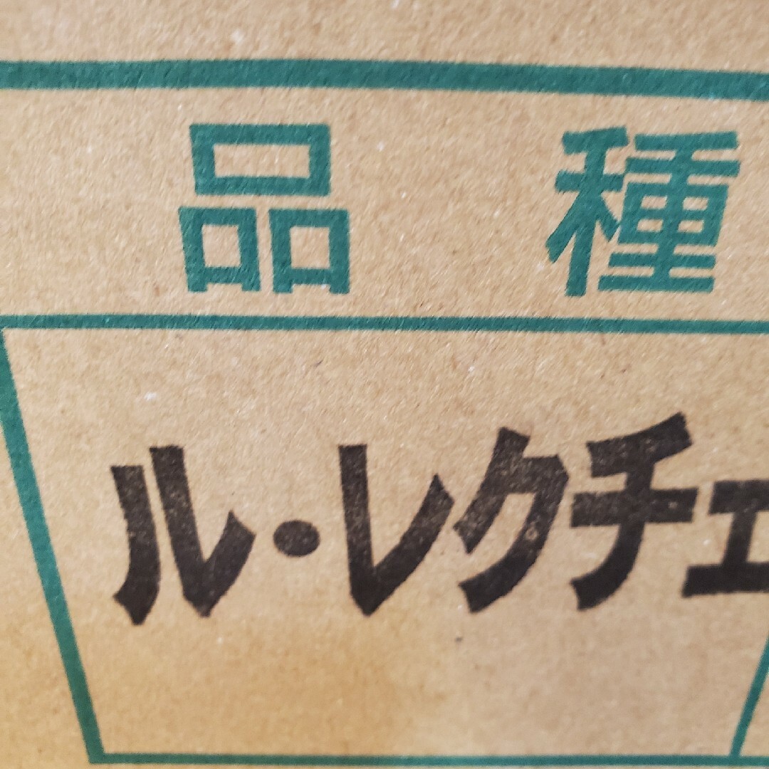 タイムセール！！　女神からのプレゼント！？　希少な洋梨　信州産「ル・レクチェ」 食品/飲料/酒の食品(フルーツ)の商品写真