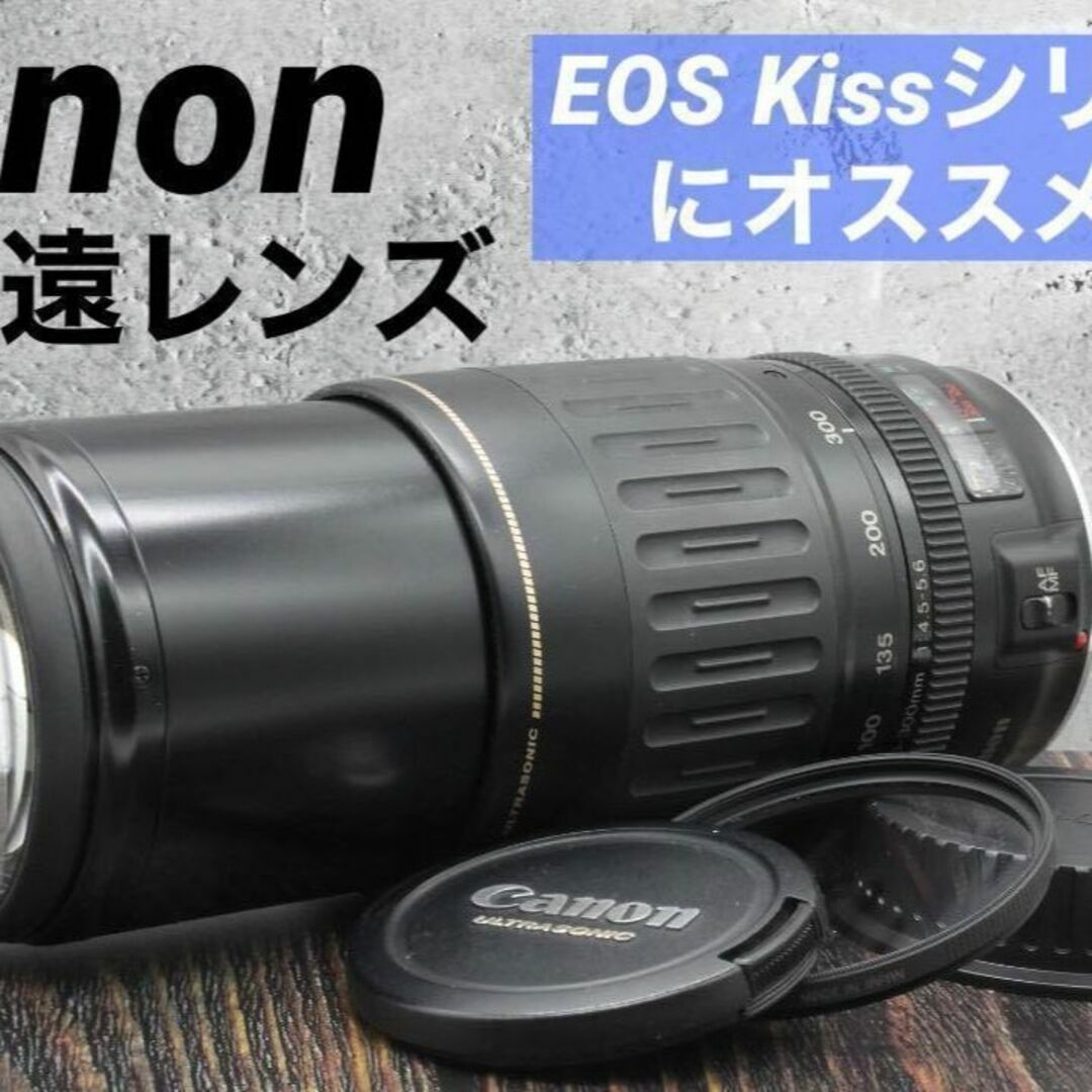 美品☆ Canon キャノン 超望遠レンズ EF 100-300mm USM