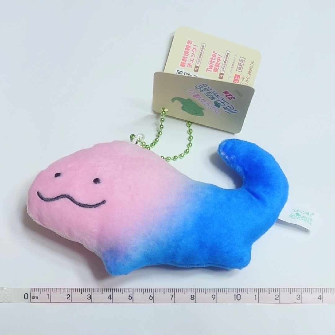 つぶらな瞳の爬虫類館　むわんざあがまとかげ エンタメ/ホビーのおもちゃ/ぬいぐるみ(ぬいぐるみ)の商品写真