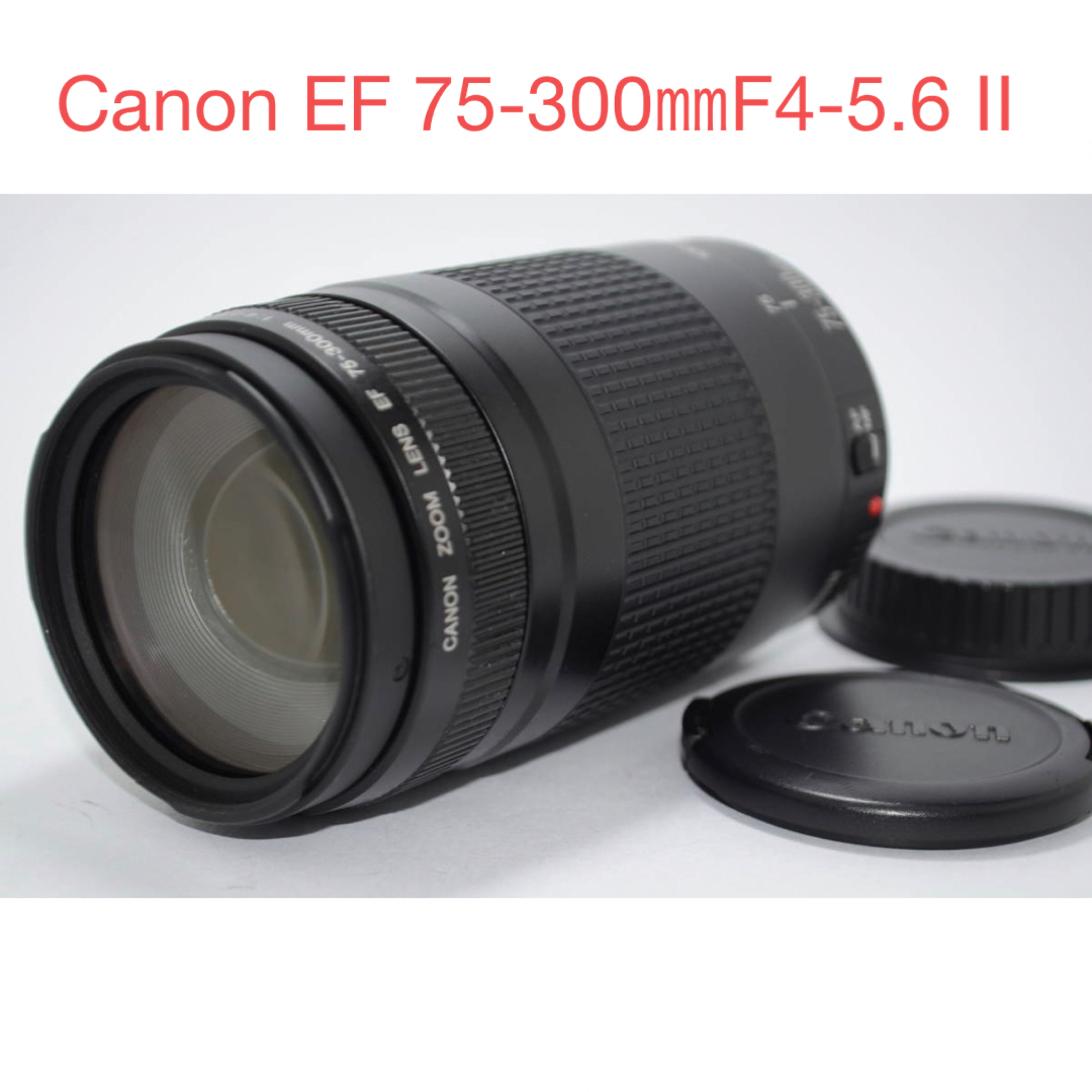 望遠レンズ/スポーツ観戦/Canon EF 広範囲 75-300㎜ F4-5.6 II 望遠レンズ/スポーツ観戦/Canon EF 広範囲 75-300㎜ F4-5.6 II