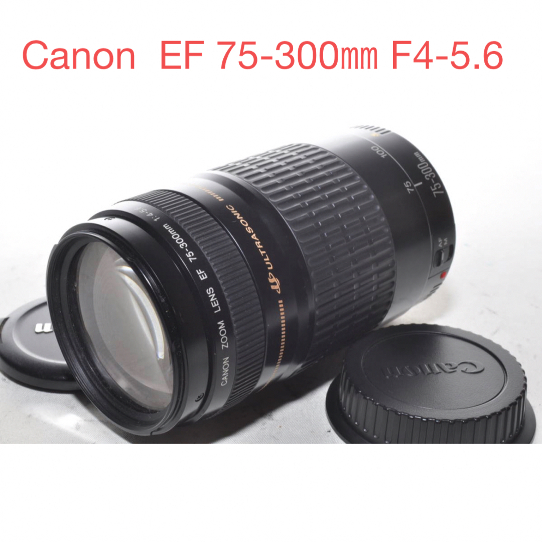 極上品☆超望遠レンズ☆キャノン☆Canon EF75-300㎜I USM