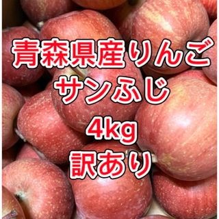 【産地直送】青森県産りんご  家庭用  4kg(フルーツ)