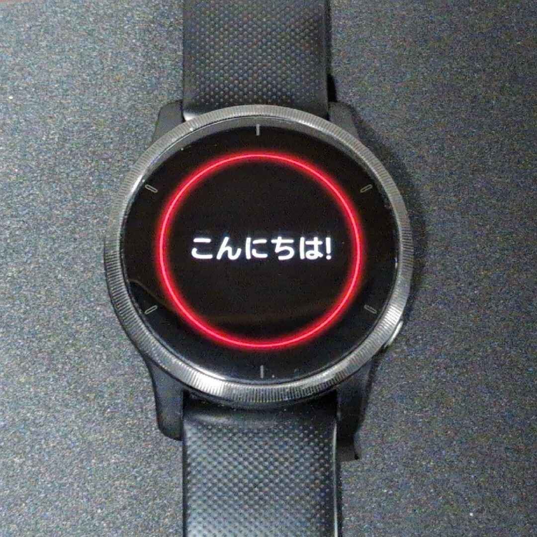 GARMIN(ガーミン)のGarmin VENU2 Black / Slate メンズの時計(腕時計(デジタル))の商品写真