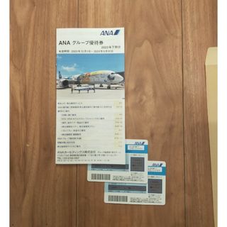 エーエヌエー(ゼンニッポンクウユ)(ANA(全日本空輸))のANA　全日空　株主優待券　２枚　グループ優待券(航空券)